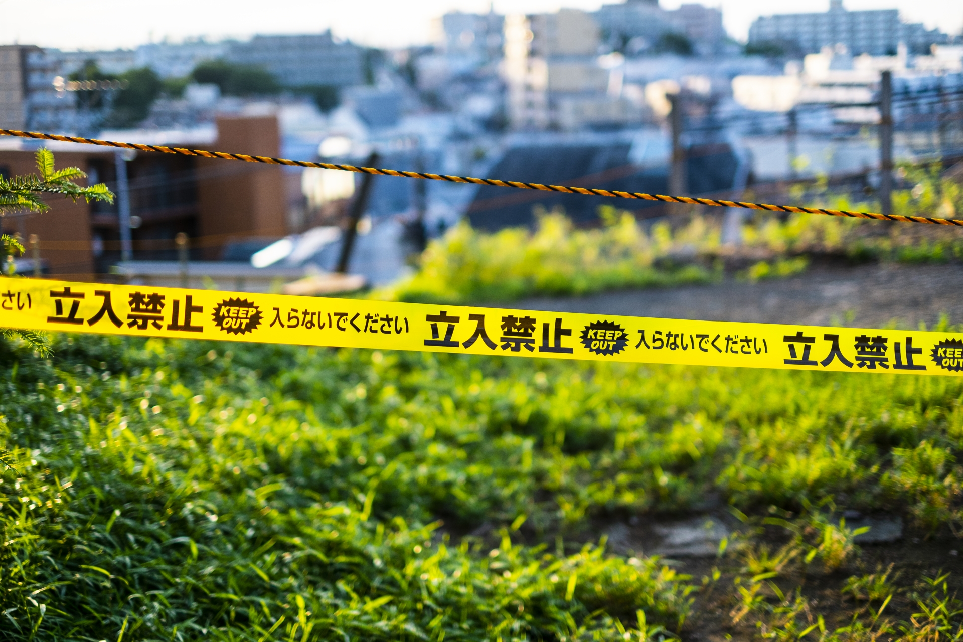 立ち入り禁止