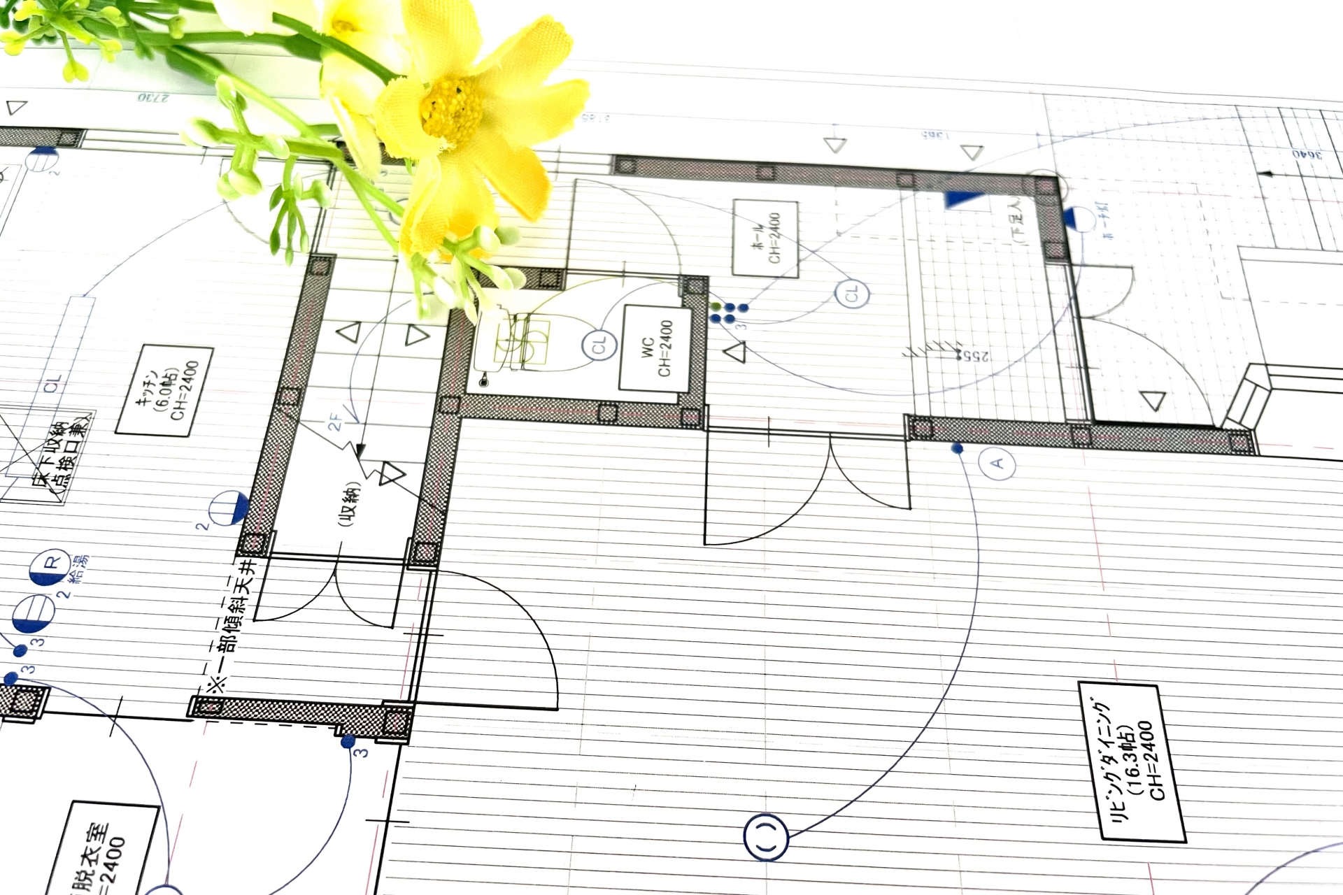 間取り図と花