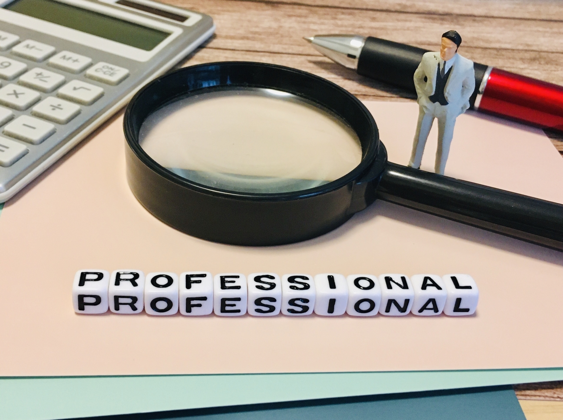 プロフェッショナル・プロ・専門家