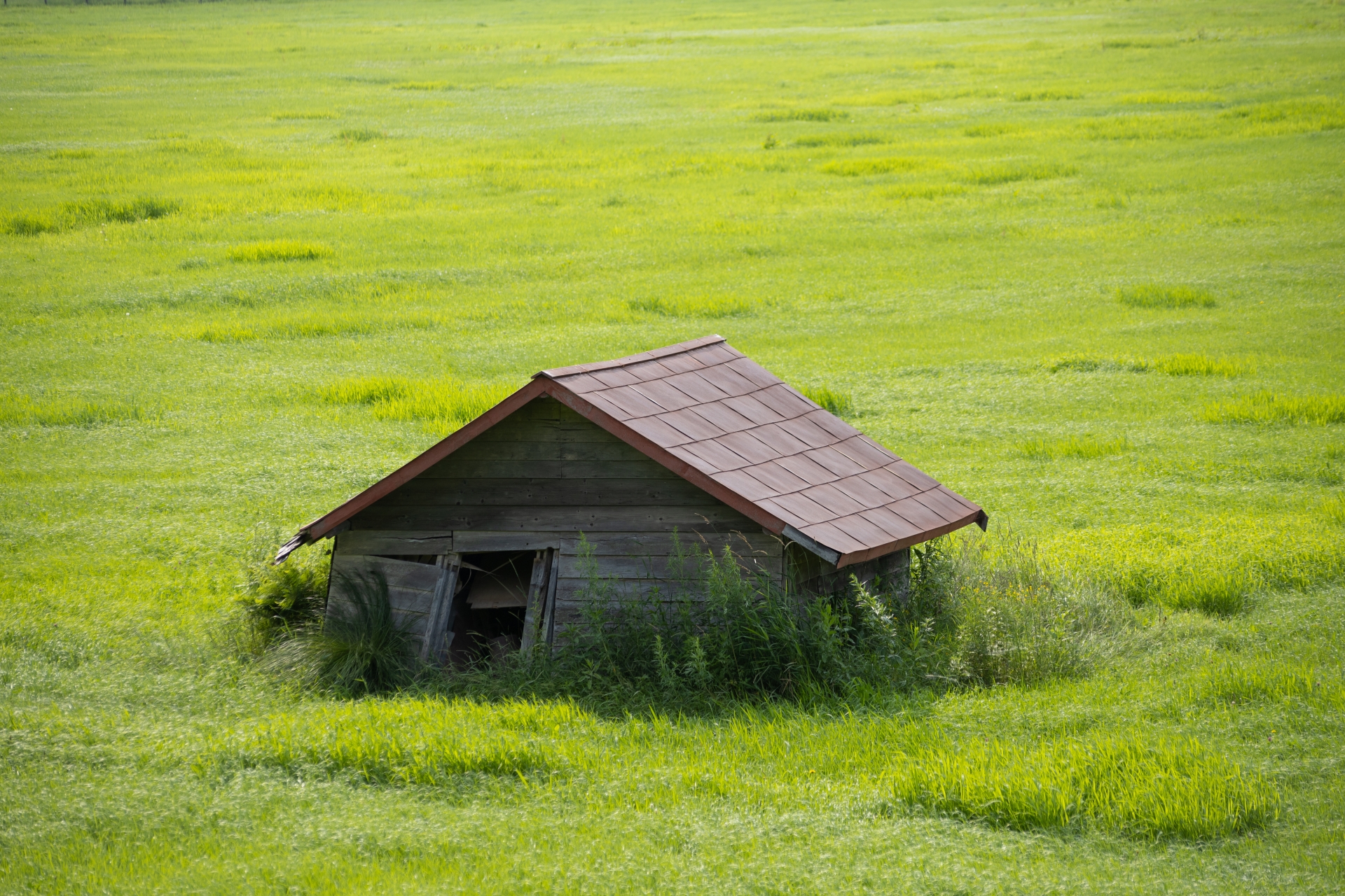 草原にたつ小屋